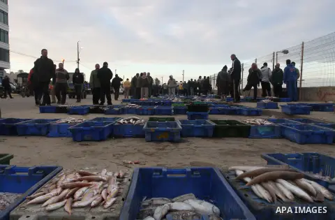 Palestinian men sell fish at a market in Gaza City November 27, 2012. Israel eased restrictions on Gaza fishermen on Saturday, further implementing truce brokered by Egypt after a week of fierce fighting, Palestinian off...