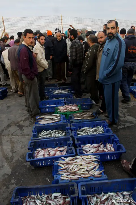 Palestinian men sell fish at a market in Gaza City November 27, 2012. Israel eased restrictions on Gaza fishermen on Saturday, further implementing truce brokered by Egypt after a week of fierce fighting, Palestinian off...
