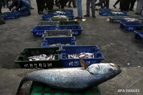Palestinian men sell fish at a market in Gaza City November 27, 2012. Israel eased restrictions on Gaza fishermen on Saturday, further implementing truce brokered by Egypt after a week of fierce fighting, Palestinian off...