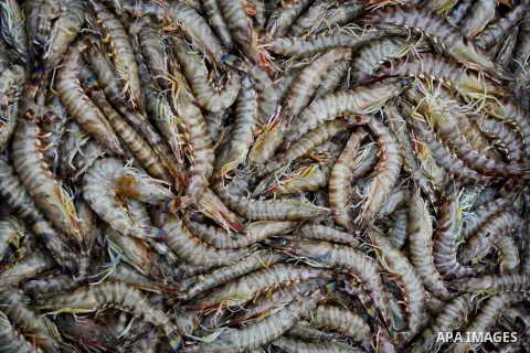 Palestinian men sell fish at a market in Gaza City November 27, 2012. Israel eased restrictions on Gaza fishermen on Saturday, further implementing truce brokered by Egypt after a week of fierce fighting, Palestinian off...