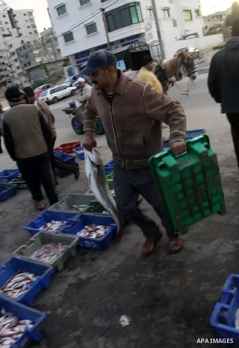 Palestinian men sell fish at a market in Gaza City November 27, 2012. Israel eased restrictions on Gaza fishermen on Saturday, further implementing truce brokered by Egypt after a week of fierce fighting, Palestinian off...
