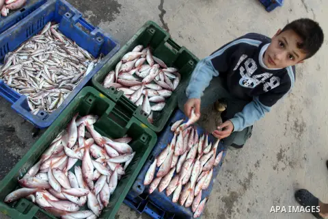 Palestinian men sell fish at a market in Gaza City November 27, 2012. Israel eased restrictions on Gaza fishermen on Saturday, further implementing truce brokered by Egypt after a week of fierce fighting, Palestinian off...