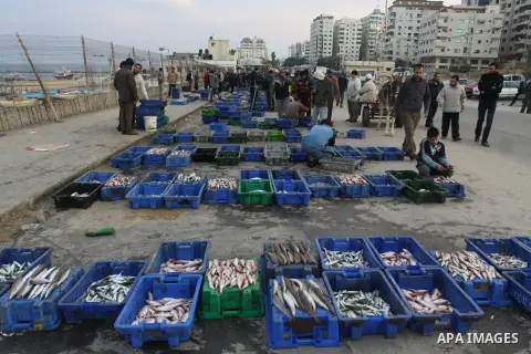 Palestinian men sell fish at a market in Gaza City November 27, 2012. Israel eased restrictions on Gaza fishermen on Saturday, further implementing truce brokered by Egypt after a week of fierce fighting, Palestinian off...
