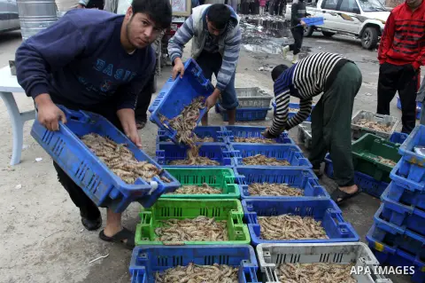 Palestinian men sell fish at a market in Gaza City November 27, 2012. Israel eased restrictions on Gaza fishermen on Saturday, further implementing truce brokered by Egypt after a week of fierce fighting, Palestinian off...