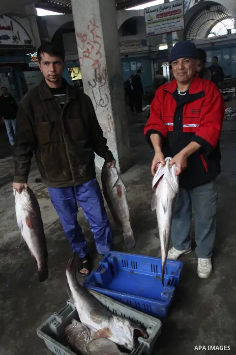 Palestinian men sell fish at a market in Gaza City November 27, 2012. Israel eased restrictions on Gaza fishermen on Saturday, further implementing truce brokered by Egypt after a week of fierce fighting, Palestinian off...