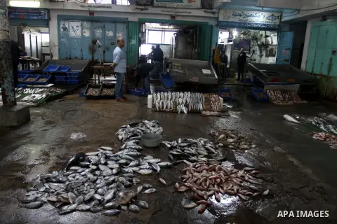 Palestinian men sell fish at a market in Gaza City November 27, 2012. Israel eased restrictions on Gaza fishermen on Saturday, further implementing truce brokered by Egypt after a week of fierce fighting, Palestinian off...