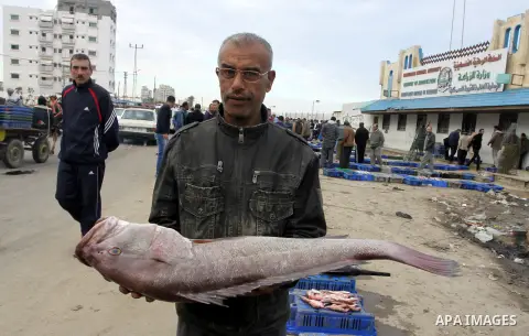 A Palestinian man sells fish at a market in Gaza City November 27, 2012. Israel eased restrictions on Gaza fishermen on Saturday, further implementing truce brokered by Egypt after a week of fierce fighting, Palestinian...