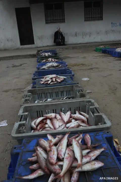 Palestinian men sell fish at a market in Gaza City November 27, 2012. Israel eased restrictions on Gaza fishermen on Saturday, further implementing truce brokered by Egypt after a week of fierce fighting, Palestinian off...