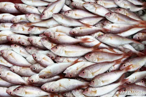 Palestinian men sell fish at a market in Gaza City November 27, 2012. Israel eased restrictions on Gaza fishermen on Saturday, further implementing truce brokered by Egypt after a week of fierce fighting, Palestinian off...