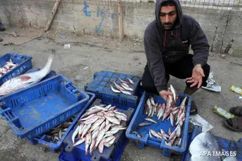 Palestinian men sell fish at a market in Gaza City November 27, 2012. Israel eased restrictions on Gaza fishermen on Saturday, further implementing truce brokered by Egypt after a week of fierce fighting, Palestinian off...