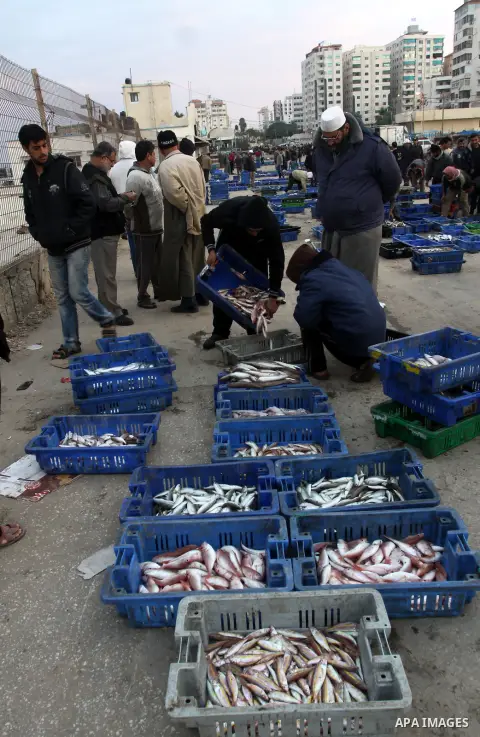 Palestinian men sell fish at a market in Gaza City November 27, 2012. Israel eased restrictions on Gaza fishermen on Saturday, further implementing truce brokered by Egypt after a week of fierce fighting, Palestinian off...