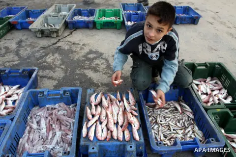 Palestinian men sell fish at a market in Gaza City November 27, 2012. Israel eased restrictions on Gaza fishermen on Saturday, further implementing truce brokered by Egypt after a week of fierce fighting, Palestinian off...