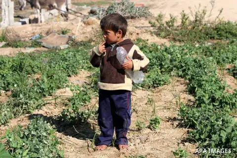 A Palestinian boy stands on the land planted peas near the Gaza-Israel border in the north of Gaza strip on November 28, 2012. Israel and Hamas agreed to free movement of civilians in the border security zone (300-500 me...