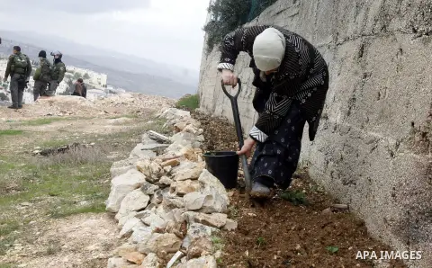 A Palestinian woman digs land for plants as Israeli soldiers watch workers installing concrete walls during the construction of the Israeli separation barrier in the Palestinian neighborhood of Shuafat in East Jerusalem,...