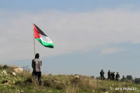 A Palestinian protester carries his national flag during clashes at a protest against Jewish settlements, in the West Bank village of Nabi Saleh, near Ramallah December 28, 2012. Photo by Issam Rimawi