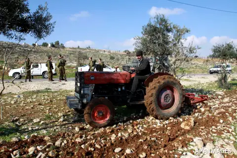 A Palestinian land owner plows his land near the Jewish settlement of Ariel near the West Bank city of Nablus on December 30, 2012. Jewish settlers attacked Palestinian farmers in the village of Yasuf and shredded wheat...