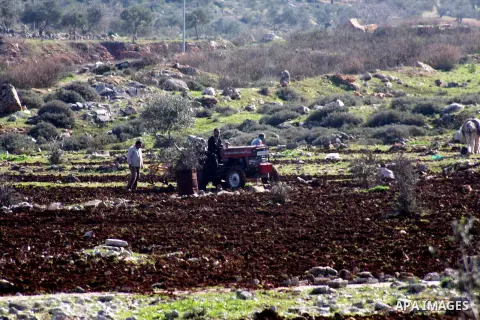 A Palestinian land owner plows his land near the Jewish settlement of Ariel near the West Bank city of Nablus on December 30, 2012. Jewish settlers attacked Palestinian farmers in the village of Yasuf and shredded wheat...