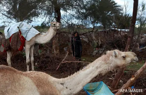 A Palestinian bedouin woman walks next her goats in a poor area in the central Gaza Strip January 10, 2013. A storm has hit the eastern Mediterranean coast and heavy rains with flooding are forecast in Israel and the Pal...