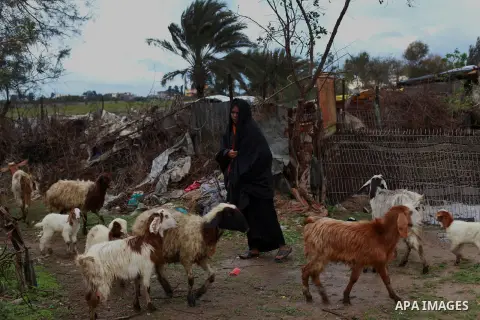 A Palestinian bedouin woman walks next her goats in a poor area in the central Gaza Strip January 10, 2013. A storm has hit the eastern Mediterranean coast and heavy rains with flooding are forecast in Israel and the Pal...