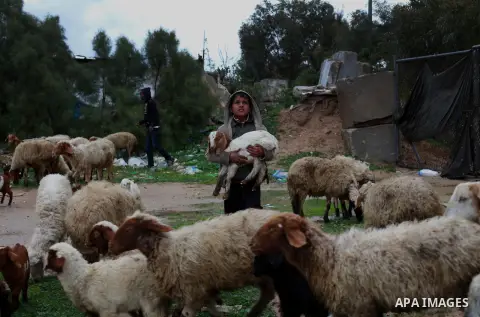 A Palestinian bedouin child plays next goats in the central Gaza Strip January 10, 2013. A storm has hit the eastern Mediterranean coast and heavy rains with flooding are forecast in Israel and the Palestinian territorie...