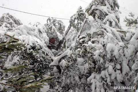 A Palestinian farmer tries to remove the snow at his farm in the West Bank city of Hebron on January 10, 2013. Abnormal storms, which for four days have blasted the Middle East with rain, snow and hail, leave swathes of...