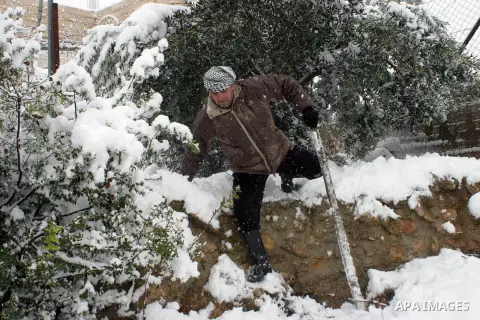 A Palestinian farmer tries to remove the snow at his farm in the West Bank city of Hebron on January 10, 2013. Abnormal storms, which for four days have blasted the Middle East with rain, snow and hail, leave swathes of...