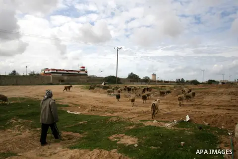 A Palestinian shepherd feeds his goats along the border between Egypt and Gaza in Rafah, in the southern Gaza Strip February 19, 2013. Egypt's campaign to shut down smuggling tunnels running under its border into the Gaz...