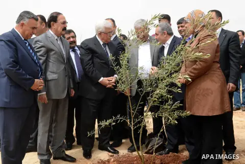 Palestinian President Mahmoud Abbas (Abu Mazen) implants trees olives on the occasion of "Land Day", in the West Bank city of Ramallah, on Apr. 01, 2013. The annual demonstrations mark the deaths of six Arab Israeli prot...