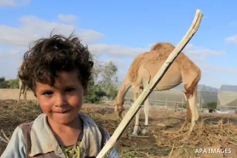 A bedouin boy plays in front of his family tents in Khan Younis, southern Gaza Strip, on May 27, 2013. Photo by Hatem Omar