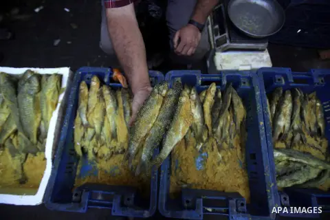 A Palestinian vendor displays the salted fish during preparations for the Eid Al-Fitr feast at the market in Khan Youns southern in Gaza city on Aug 07, 2013, as Muslims over the world prepare to celebrate Eid al-Fitr, a...