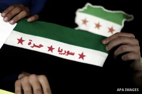 A Young Palestinian woman holds syrian revolution flag during a protest against Syria's President Bashar al-Assad in front of the U.N. headquarters in Gaza City August 23, 2013. U.N. Secretary-General Ban Ki-moon said on...