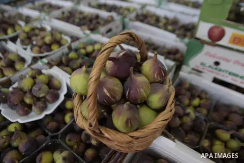 Palestinian visitors attend a festival to sell the figs in the village of Tal, near Nablus in west bank on August 24, 2013. Photo by Nedal Eshtayah