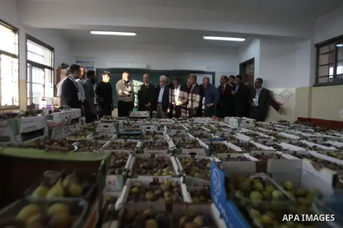 Palestinian visitors attend a festival to sell the figs in the village of Tal, near Nablus in west bank on August 24, 2013. Photo by Nedal Eshtayah