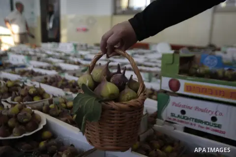 Palestinian visitors attend a festival to sell the figs in the village of Tal, near Nablus in west bank on August 24, 2013. Photo by Nedal Eshtayah