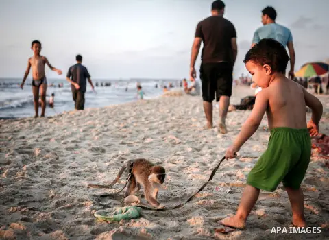 A Palestinian child plays with monkey on the sea at Gaza beach during the weekend western Gaza City on Aug 30, 2013. Photo by Ezz Zanoon