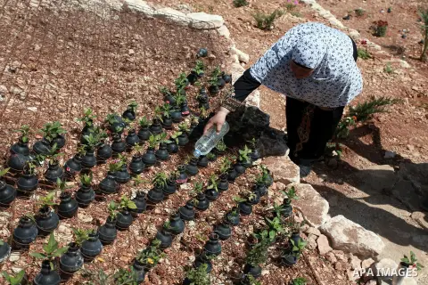 A Palestinian woman waters flowers planted in tear gas canisters in the village of Bilin, near the West Bank city of Ramallah, Oct. 2, 2013. The tear gas canisters were collected during years of clashes with Israeli secu...