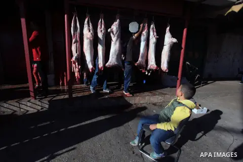 A Palestinian butcher hangs a sheep during the first day of Eid al-Adha, the Muslim feast of the sacrifice, in the West Bank City Ramallah, Oct. 15, 2013. Muslims worldwide are celebrating Eid al-Adha, or Feast of the Sa...