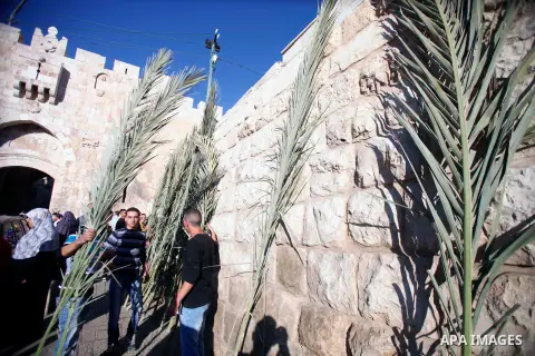 A Palestinian man sells palm fronds in front of a cemetery near the Al-Aqsa Mosque compound, Islam's third holiest shrine, in Jerusalem s old city following morning prayers on the Muslim holiday of Eid al-Adha or "The Fe...