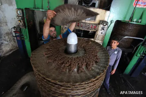 Palestinian workers prepare crushed olives between metal plates at a traditional stone press in the West Bank city of Ramallah, 21 October 2013. Regional farmers are harvesting their olives this year from mid-October unt...