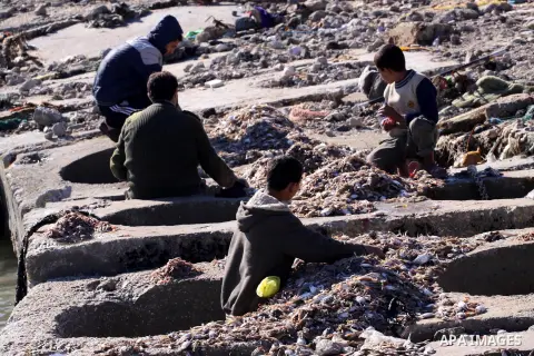 Palestinian fishermen collect fish from fishing holes at the port in Gaza City on December 15, 2013. Copious fish flowed to the coast of the Gaza Strip after fishermen break due to the storm that hit the region. Photo by...