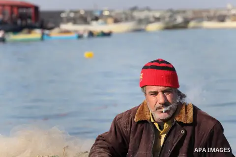 Palestinian fishermen collect fish from their nets at the port in Gaza City on December 17, 2013. Copious fish flowed to the coast of the Gaza Strip after four days of severe weather conditions in the coastal territory....