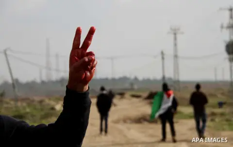 A Palestinian protester flashes a victory sign with his bloody hand during clashes with Israeli forces near the Nahal Oz border crossing with Israel, east of Gaza City on January 17, 2014. The Israeli army fired live rou...