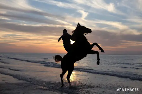 A Palestinian man rides his horse at the beach during the sunset in the west Gaza City January 19, 2013. Earlier on 19 January 2014, Israel launched two more airstrikes in Gaza which caused no injuries. Those were in res...