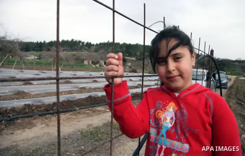A Palestinian girl stands next to her family's farm in Saffuriyya village near the City of Nazareth, February 03, 2014. Saffuriyya was occupied by Israeli troops on 15 July 1948, during Operation Dekel. On July 15, Israe...