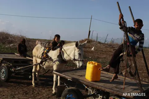 Palestinian children play on donkey carts outside their family's house in Khan Younis in the southern Gaza Strip, February 17, 2014. Photo by Ashraf Amra