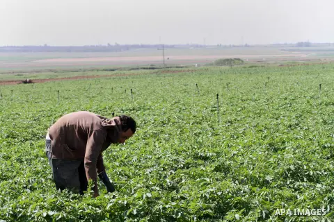 A Palestinian farmer participates in a cultivation of olive trees during a rally marking Land Day in Jabalya in the northern Gaza Strip on March 29, 2014. The annual demonstrations mark the deaths of six Arab Israeli pro...