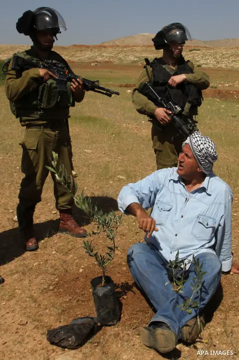 Israeli soldiers watch A Palestinian farmer as he plants olive trees during a protest against what they say is land confiscation for Jewish settlements in the Jordan Valley, a hotly contested part of the occupied West Ba...