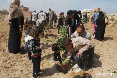 Palestinian children participate in planting olive trees during a rally marking "World Orphan's Day" organized by the Turkish humanitarian relief IHH, in Gaza City, on April 13, 2014. Photo by Mohammed Asad