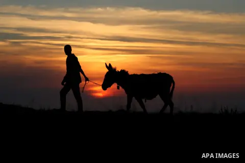 A Palestinian youth with his donkey during a sunset in the West Bank city of Ramallah, on April 22, 2014. Photo by Shadi Hatem