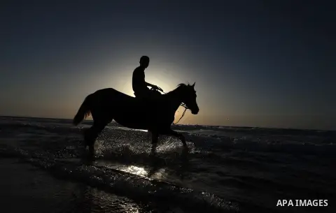 A Palestinian man rides a horse on a beach in Gaza City May 2, 2014. Photo by Ashraf Amra